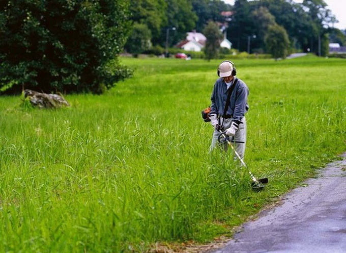 Który trymer jest lepszy - benzyna lub elektryczna